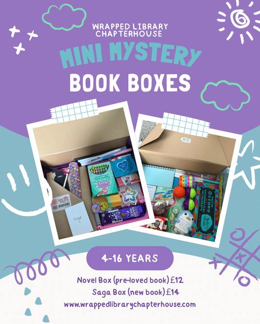 Mini Mystery Book Boxes